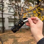 472442139 564589409727062 5434650149931984407 n